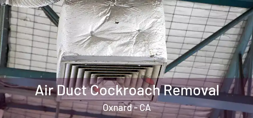Air Duct Cockroach Removal Oxnard - CA