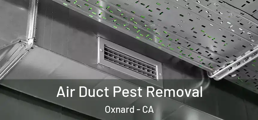 Air Duct Pest Removal Oxnard - CA