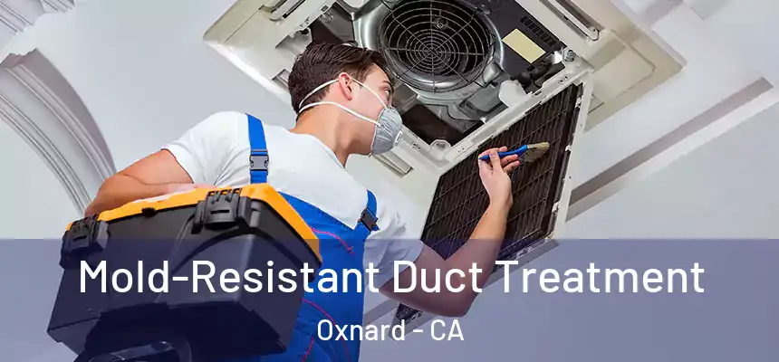  Mold-Resistant Duct Treatment Oxnard - CA