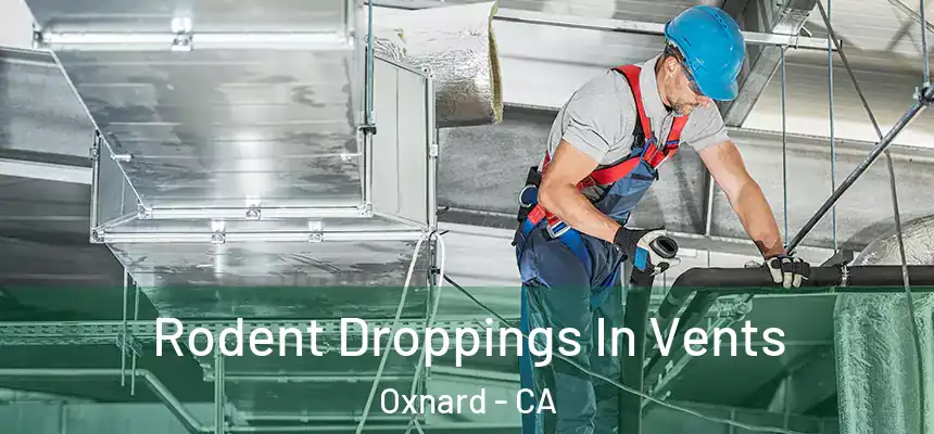  Rodent Droppings In Vents Oxnard - CA