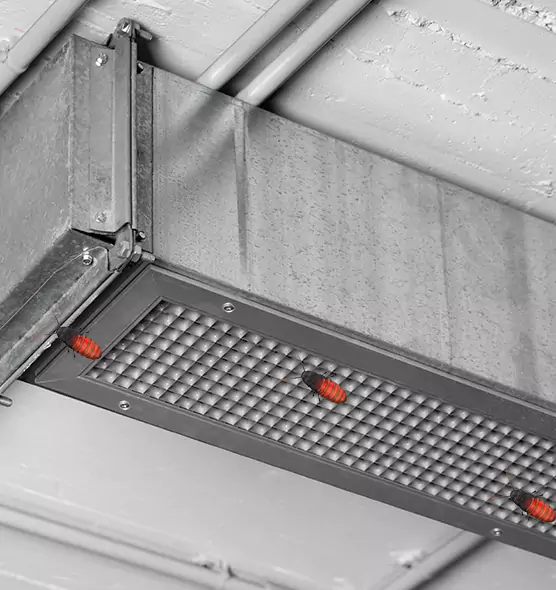 About Air Duct Cockroach Removal in Oxnard, CA