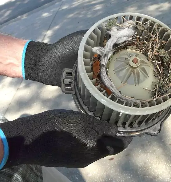 About Air Duct Mice Removal in Oxnard, CA