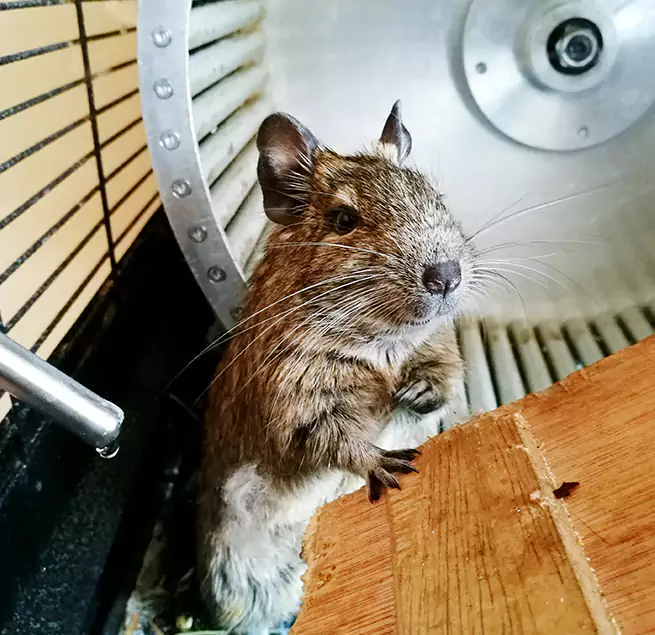 Why Homeowners & Businesses Trust Us Oxnard, CA