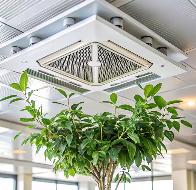 Why Homeowners & Businesses Trust Us in Oxnard, CA?